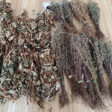 独脚金
