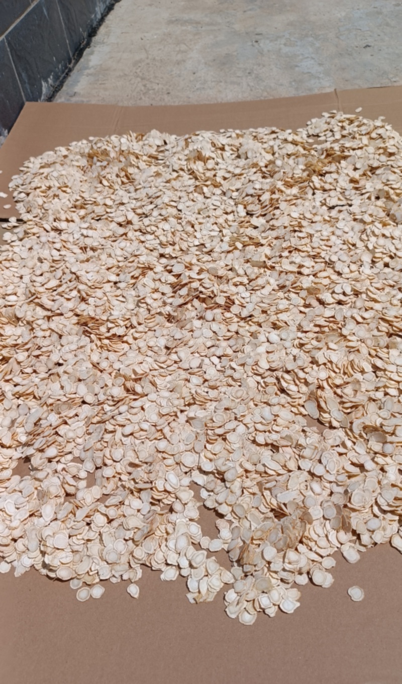 岷县黄芪特大片