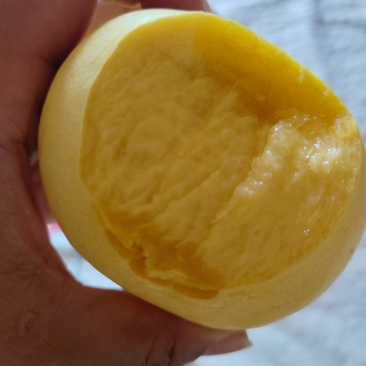 风味天后