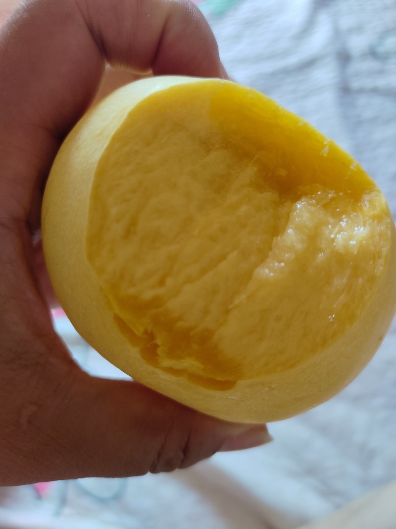 风味天后