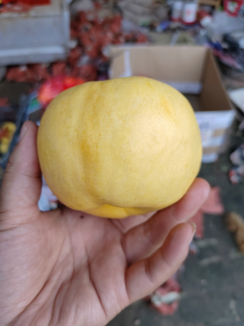 风味天后