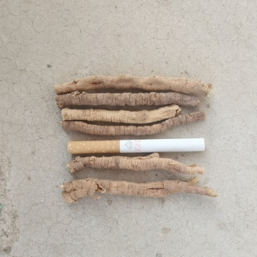 陕西远志筒统，345全干货，抽芯率95%以上