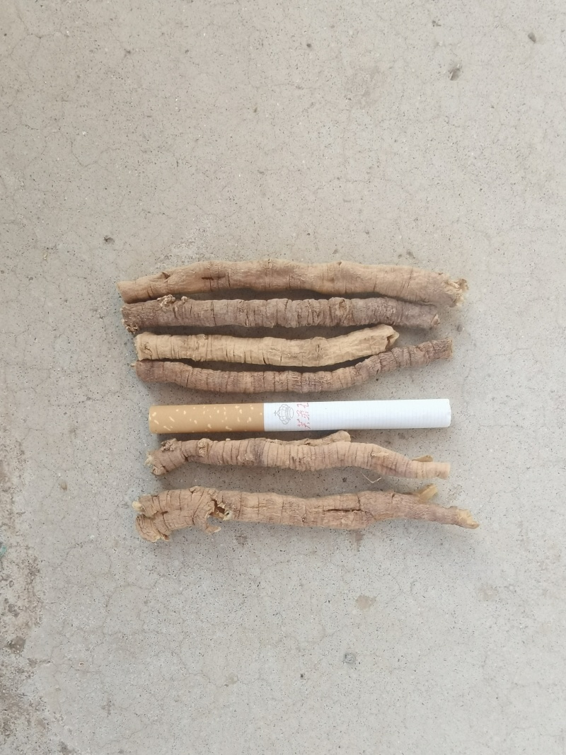 陕西远志筒统，345全干货，抽芯率95%以上
