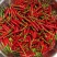 辣椒