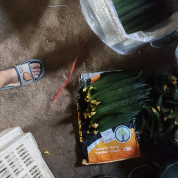 大鲜花黄瓜