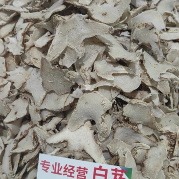 白及