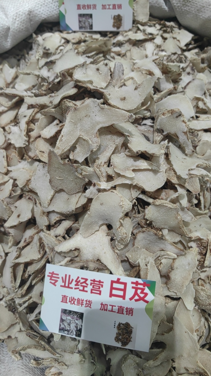 白及