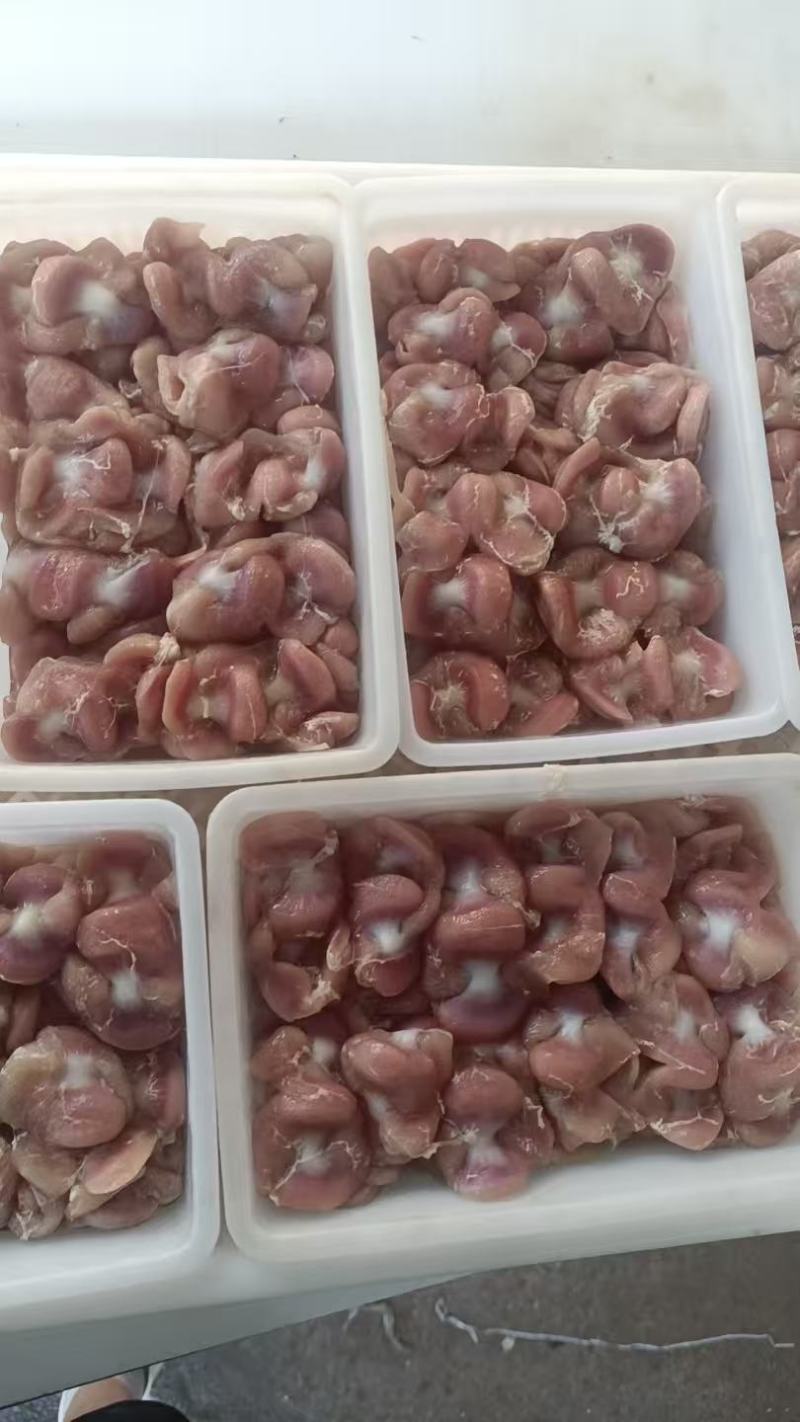板冻带肚鸡胗