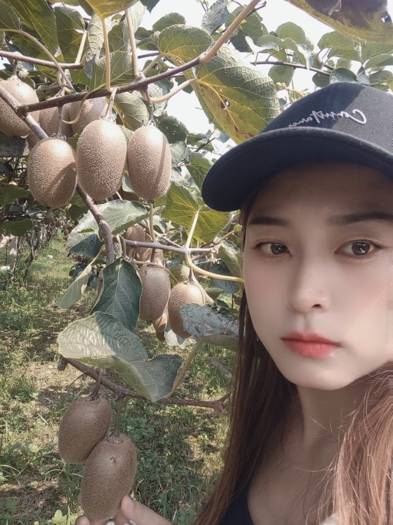 周至翠香猕猴桃