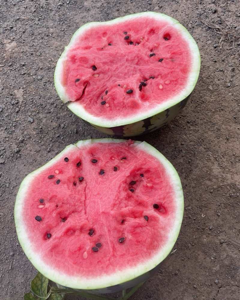 西瓜