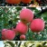 大连苹果