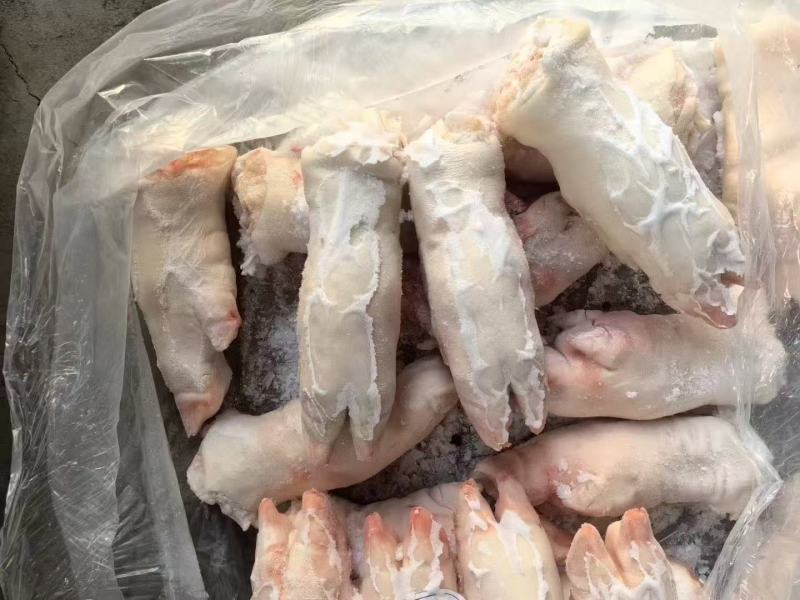 厂家纯干肥猪去筋蹄28-30个一吨多