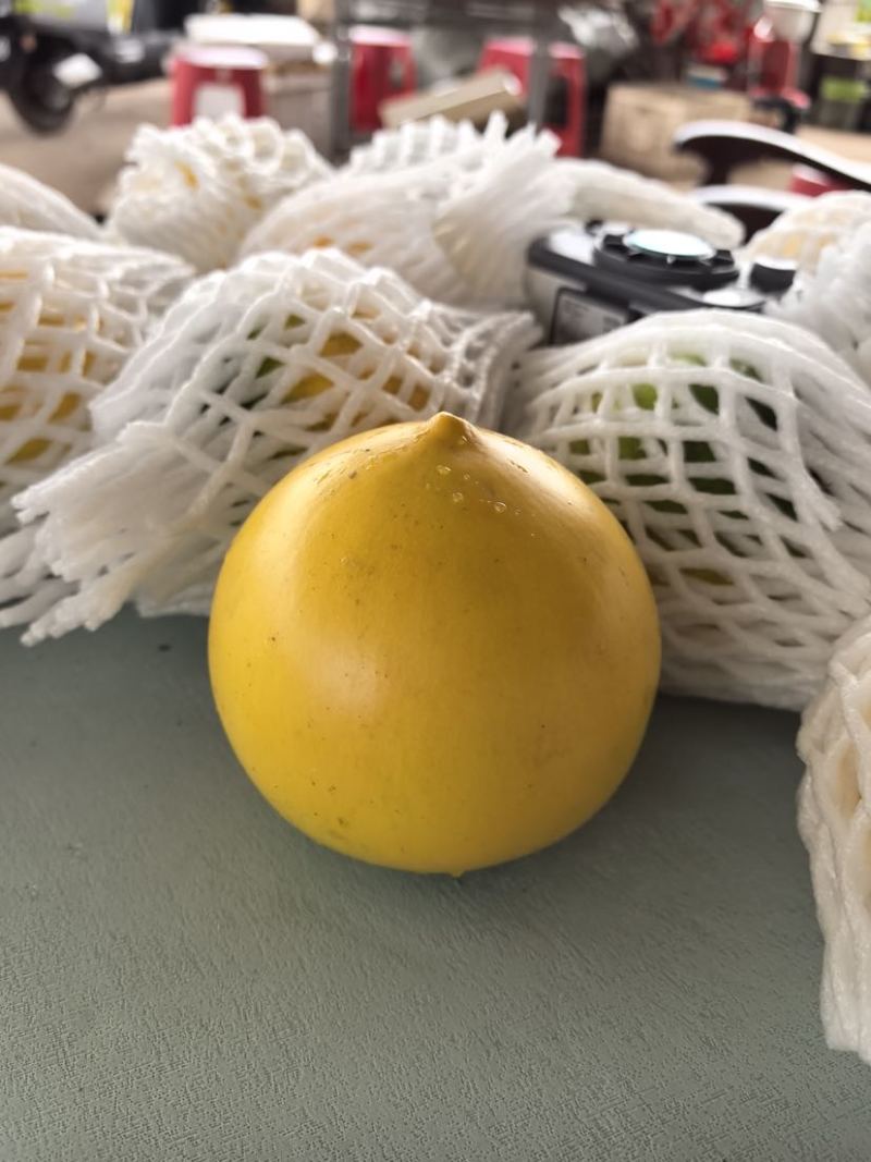 黄晶果