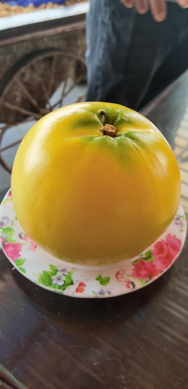 黄晶果