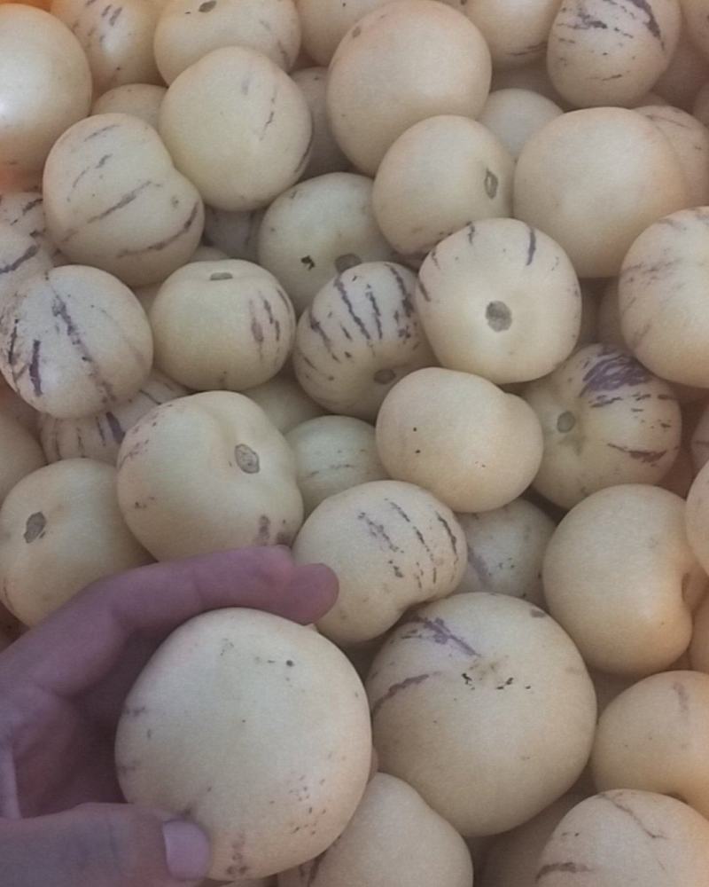 石林树上熟人参果