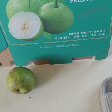 八两以上一斤以下的翠冠梨！