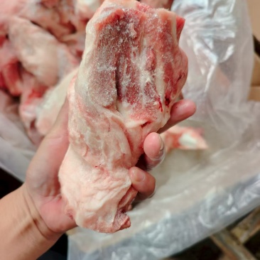 猪后肘骨