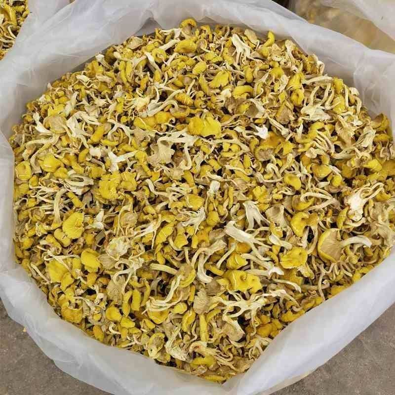 鸡油菌