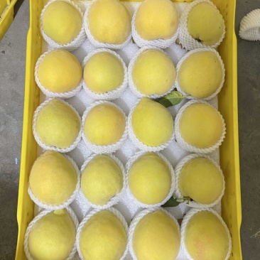 黄桃