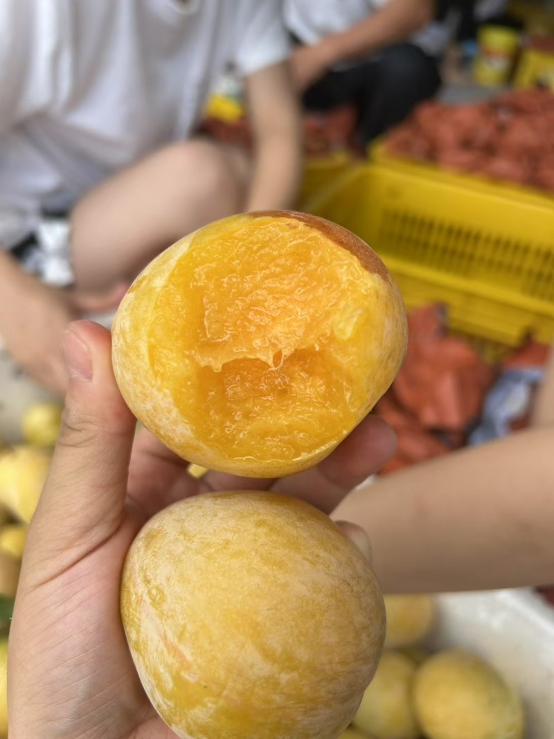黄金奈李