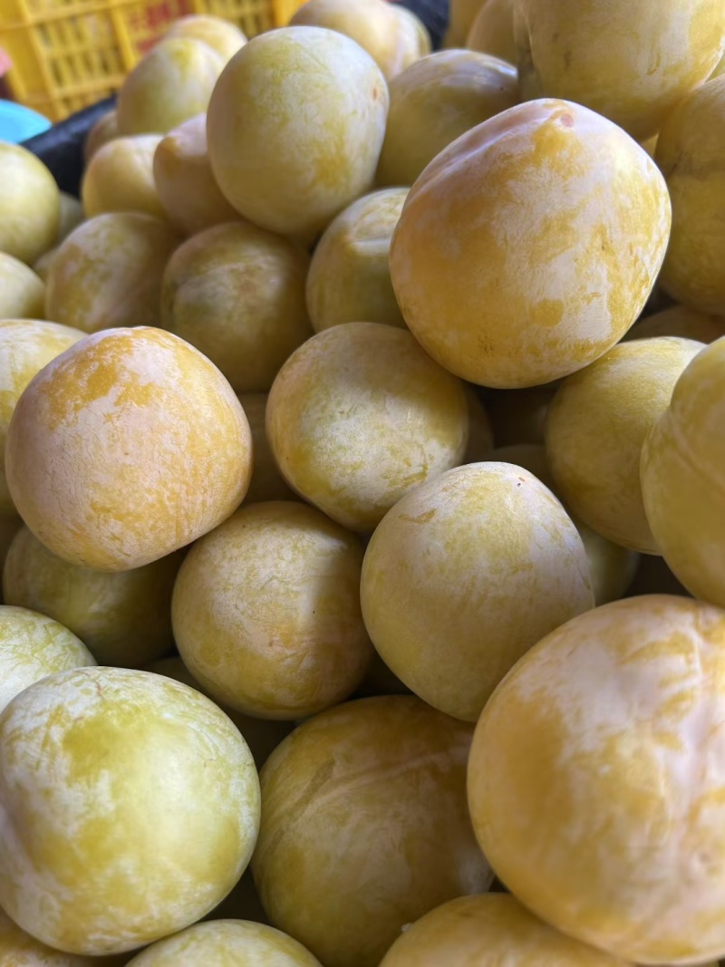 黄金奈李