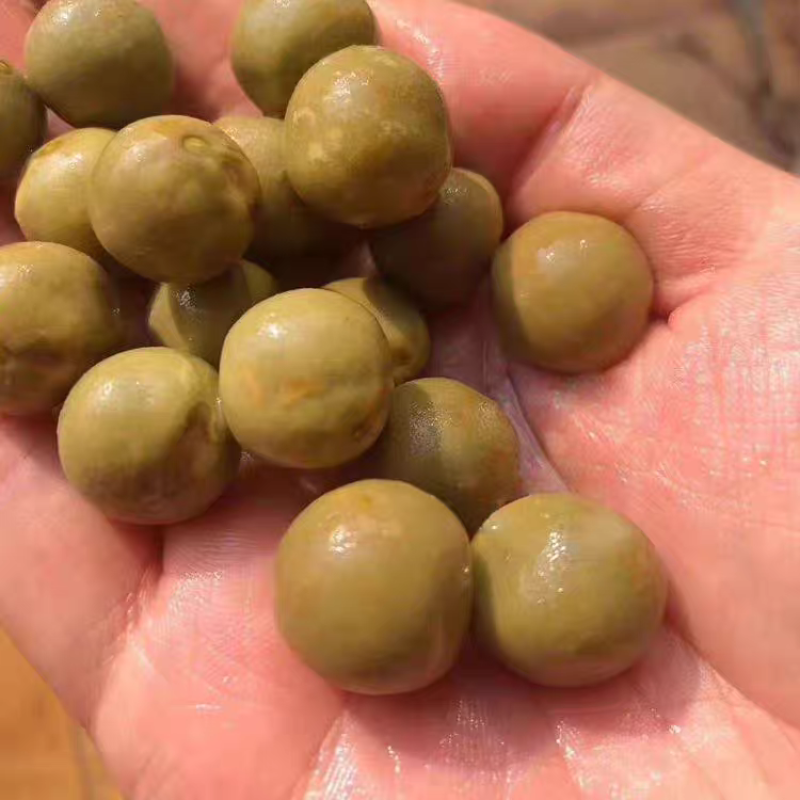 新鲜采摘大果，鸡头米，芡实