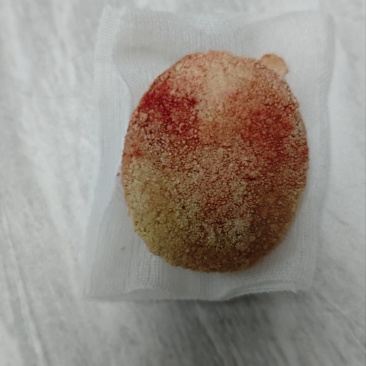 狗宝