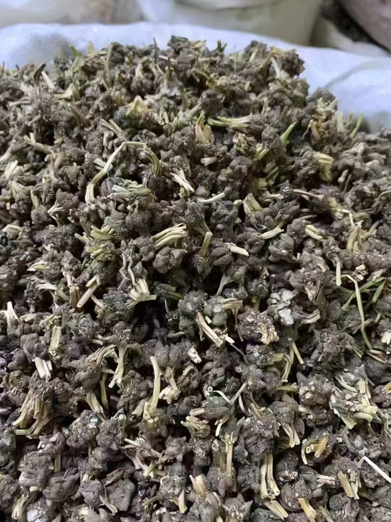 河南猫爪草