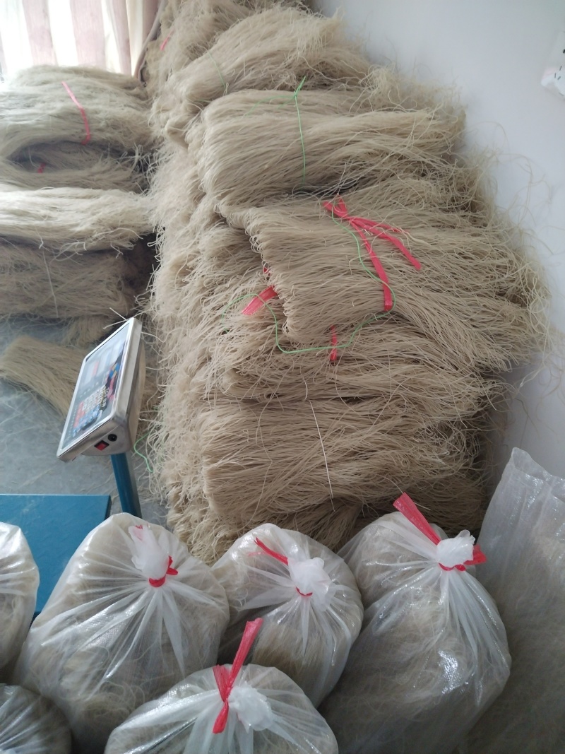 正宗红薯粉条