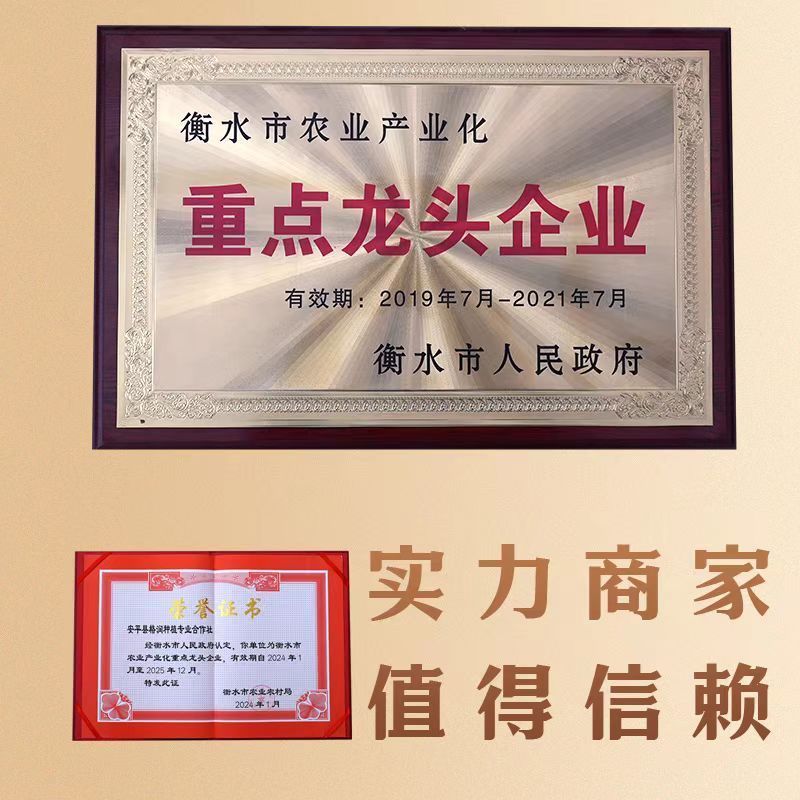 富硒面粉