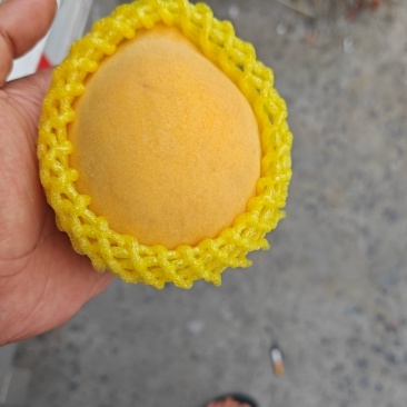 锦绣黄桃