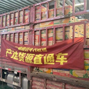洋葱