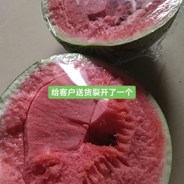 翔好露天麒麟瓜