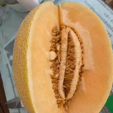 新疆特产哈密瓜