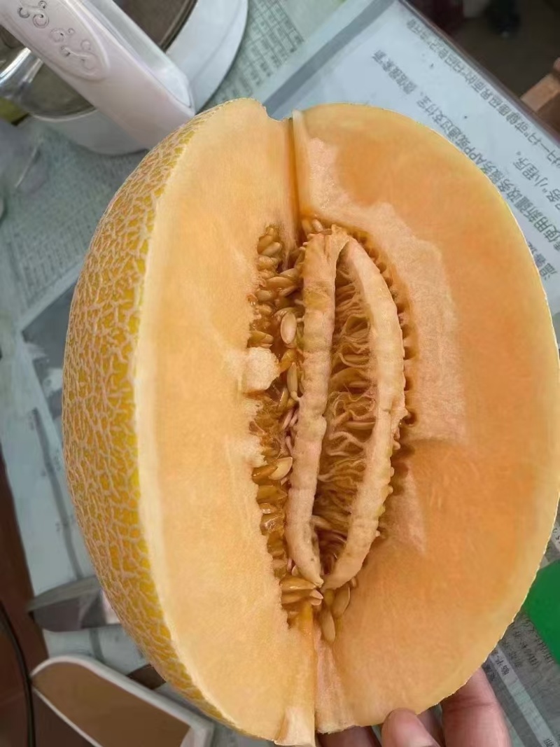 新疆特产哈密瓜