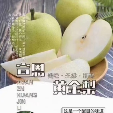 宣恩黄金梨