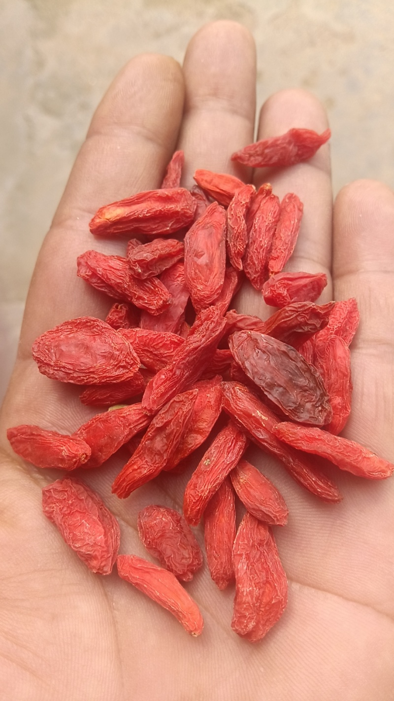 长期有货的厂家直销枸杞随时可聊优质保障