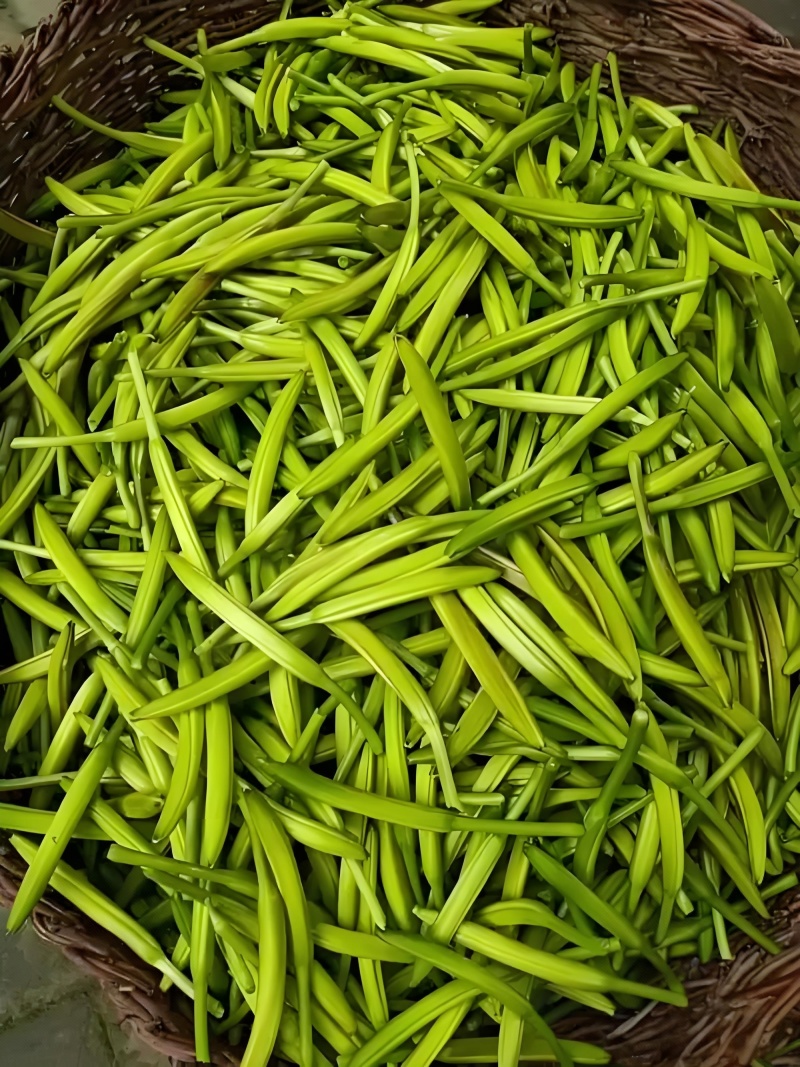 庆阳市镇原县开边镇黄花菜