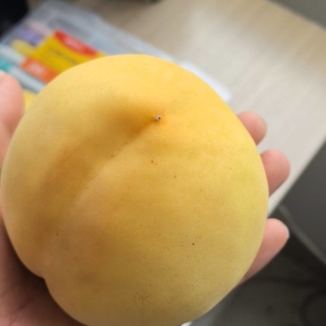 黄桃