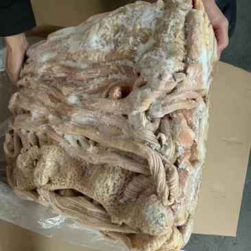 牛小肠