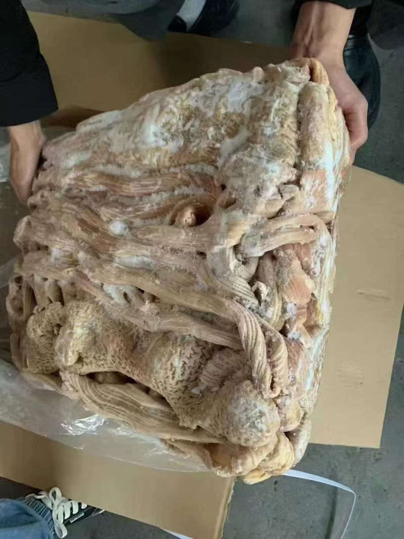 牛小肠