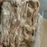 牛小肠