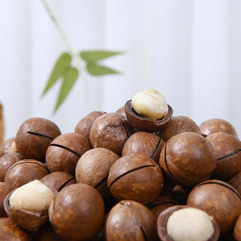 夏威夷果大货，一件代发都可