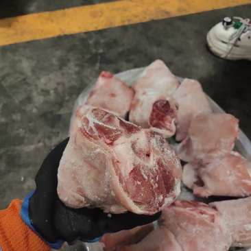 前肘13个国产纯干去毛干净颜色新鲜卤，烧炖都可