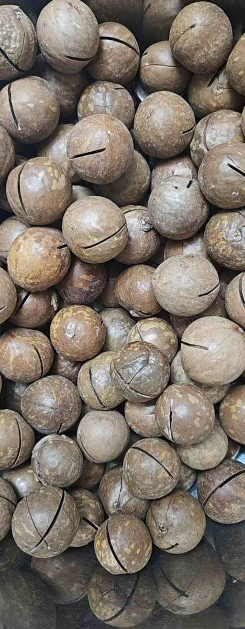 夏威夷果大货现货，电商一件代发都可