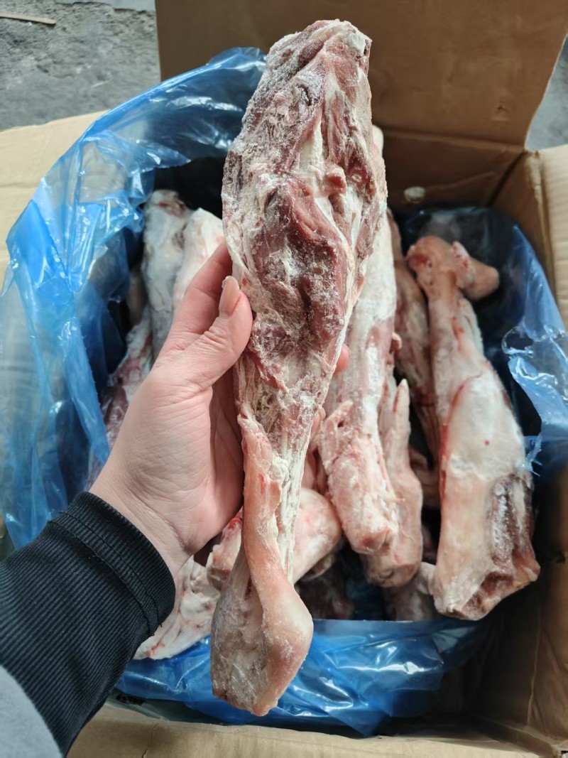 羊金刚（后）