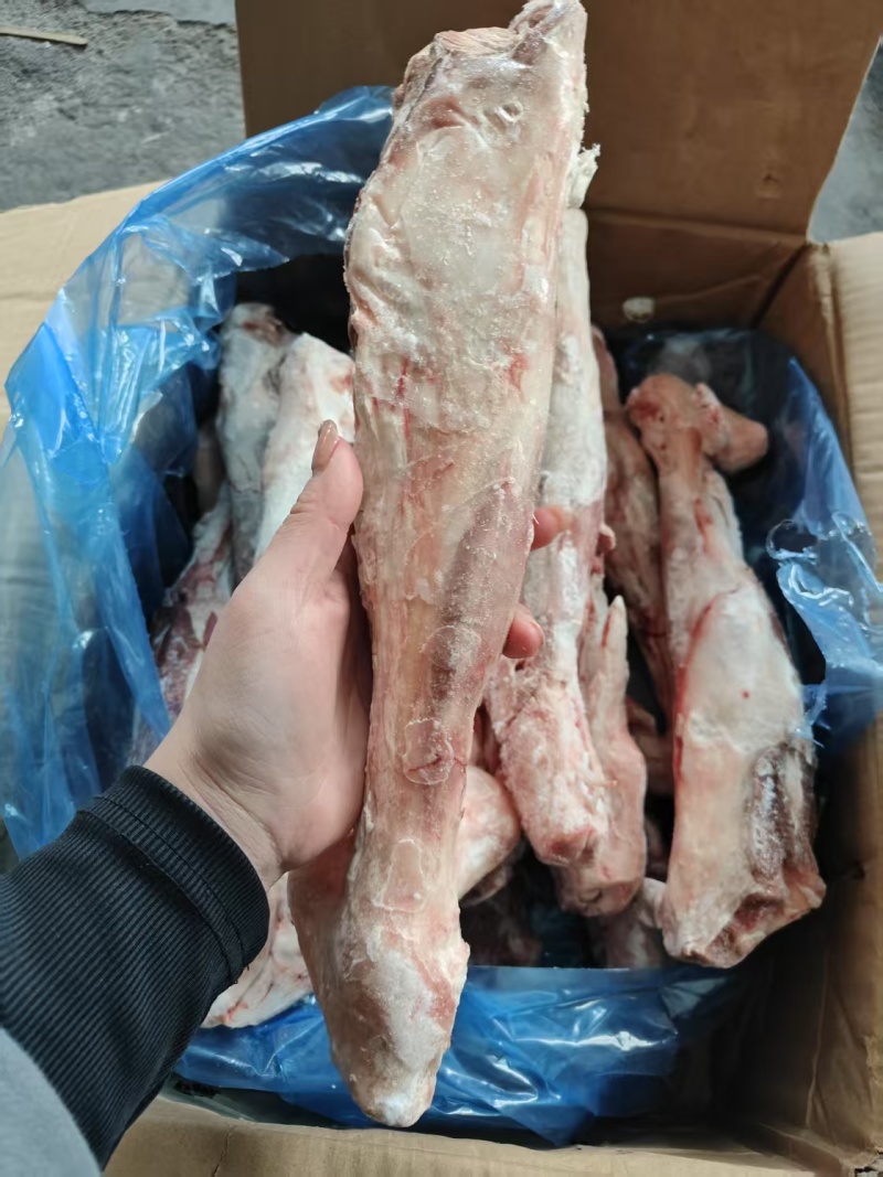羊金刚（后）