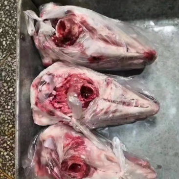 去皮羊头