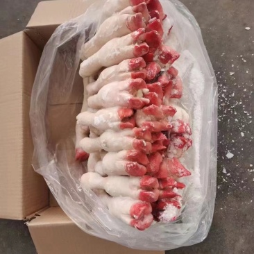 羊蹄