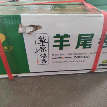 羊尾油